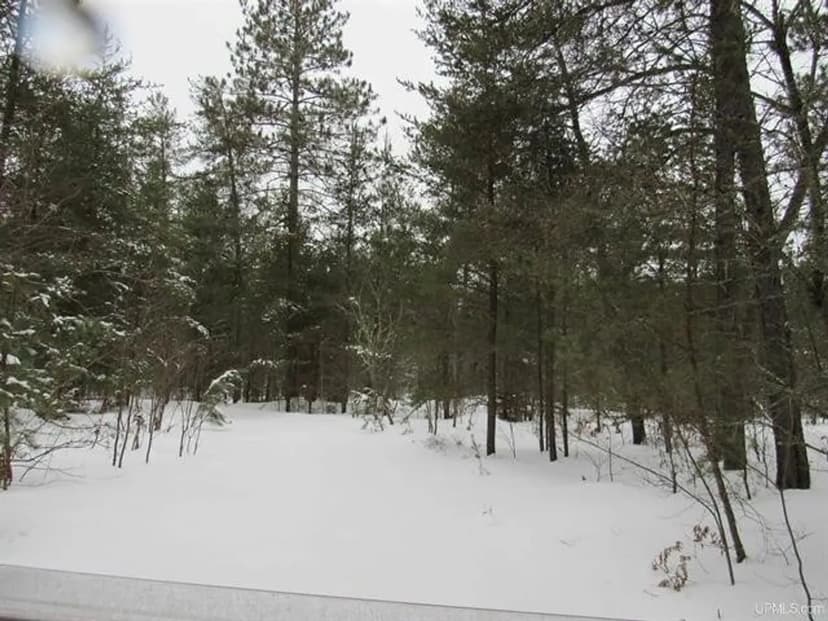 Secluded 240+/- Acres Upper Peninsula 50166193