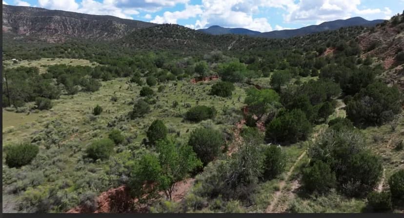 Mauer Drive Lots 53-54