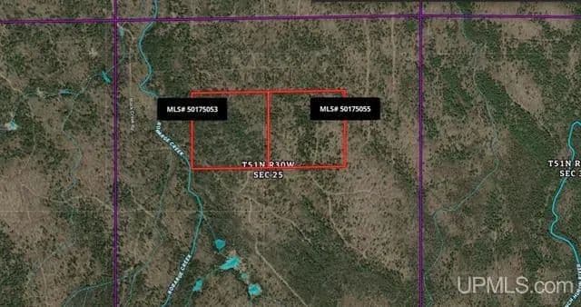 Michigan 40 Acre Wilderness 50175053