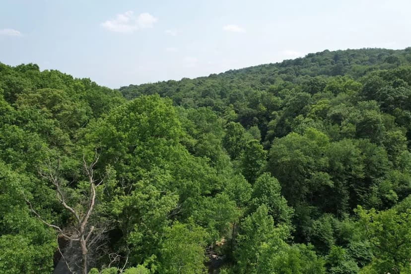 Oak Grove Rd., Beaver County- 22+/- Acres