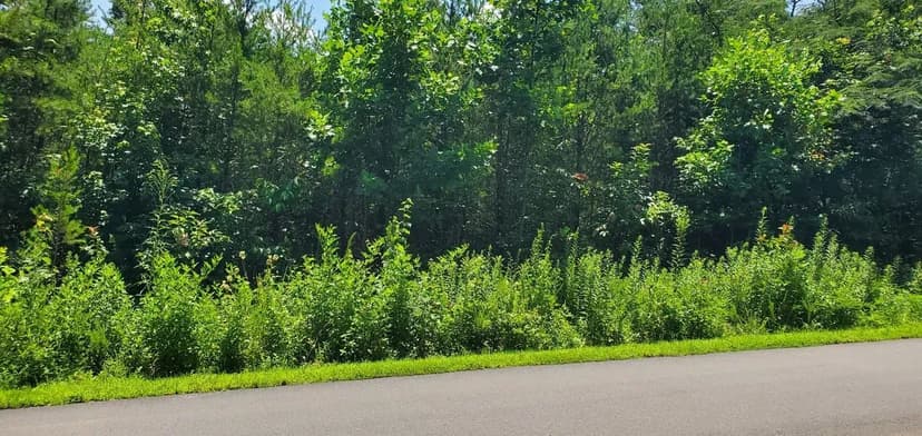 +/- 0.75ac - 168 Valley Springs Dr Olin NC - Iredell Co