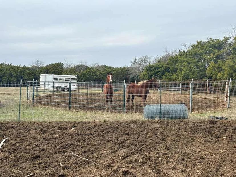 Beautiful 70-Acre Country Estate in Gatesville, TX - Perfect for Ranching & Horses!