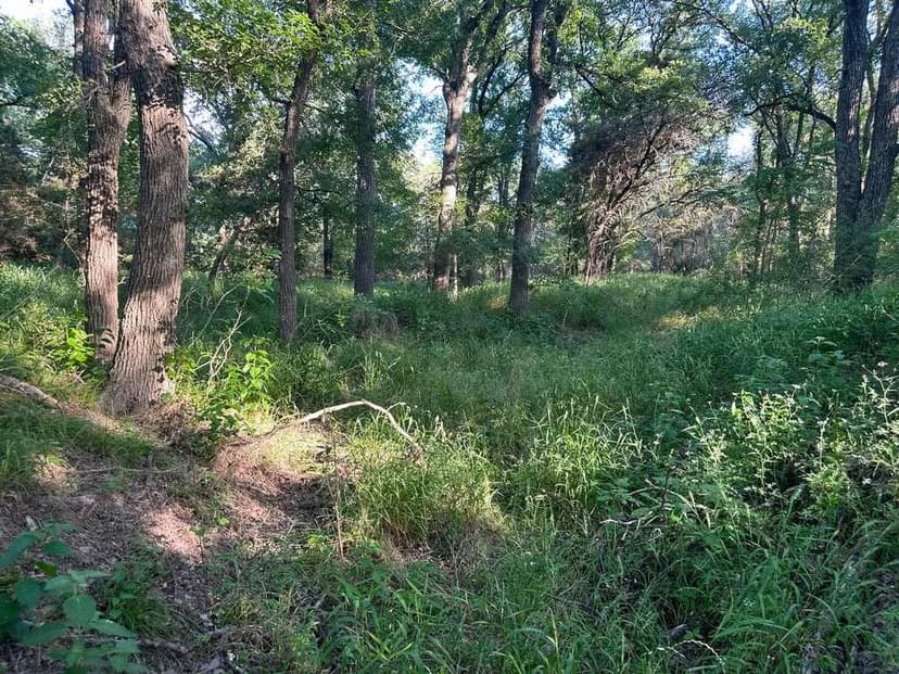 Premium Live Water Land in Gatesville, TX - 32 Acres with Leon River Frontage!