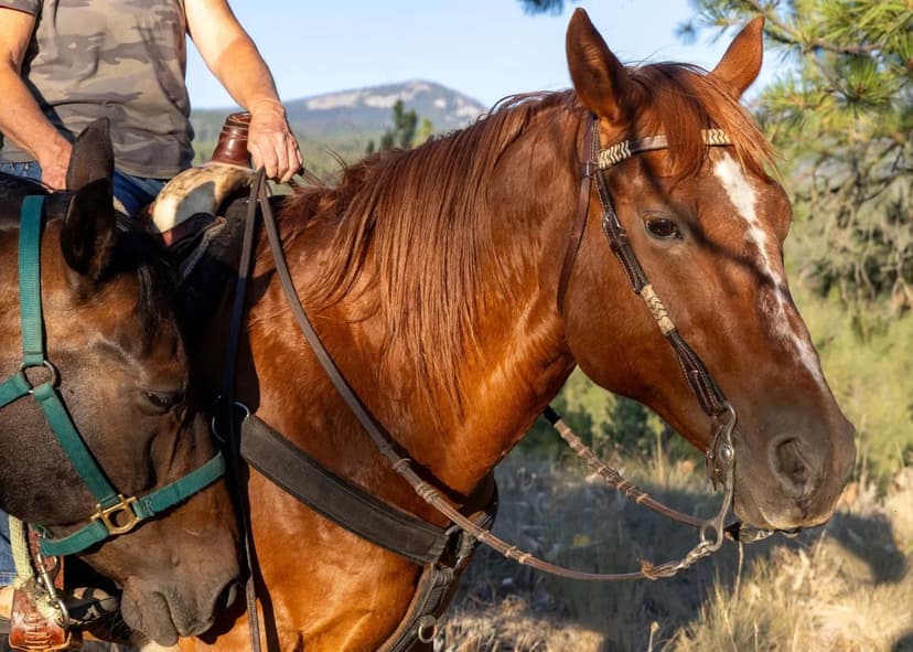 The Bitterroot Highlands at Willow Creek