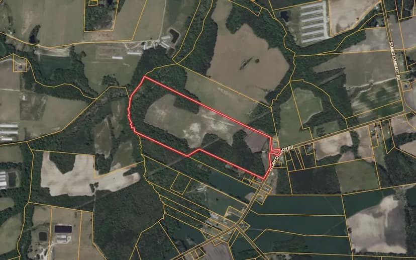 UNDER CONTRACT!! 81.33 acres of Prime Timber and Farm Land for Sale in Wayne County, NC!