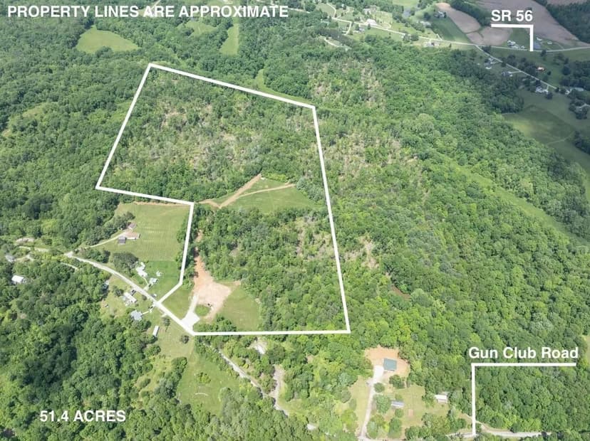 Gun Club Rd - 51 acres