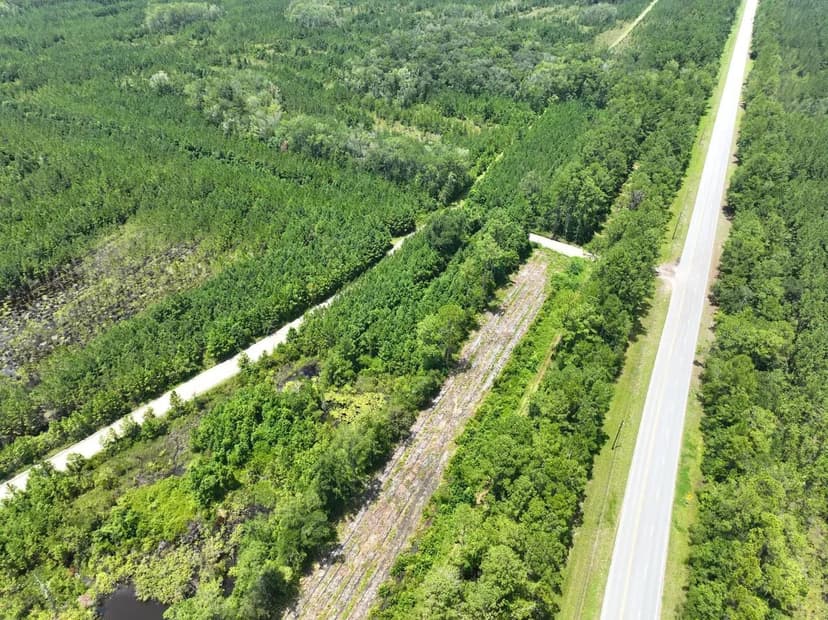 3.75 Acres Chaney Rd Tract White Oak, GA