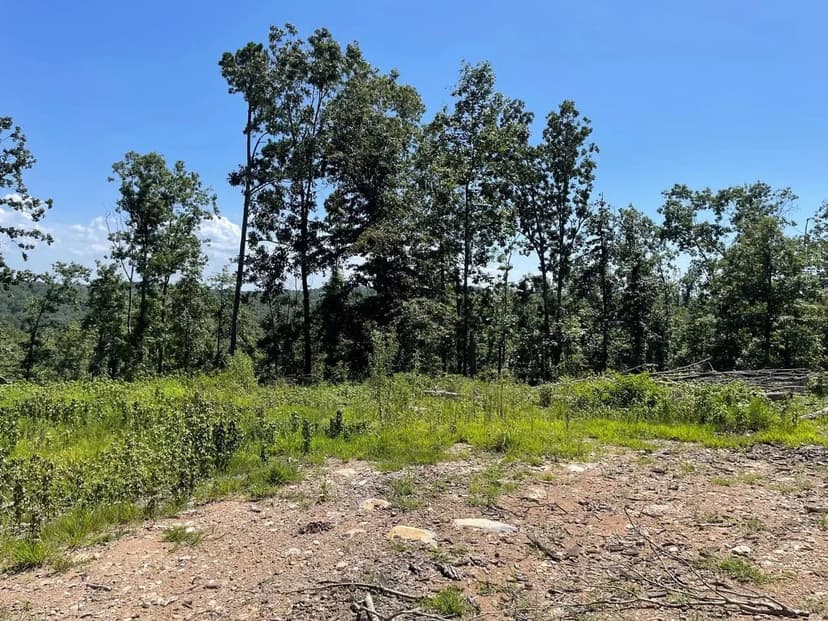 134+/- AC of Secluded Hunting Property in Wayne Co.