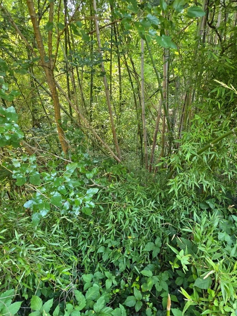 +/- .14ac lot - 537 Falls Street Statesville NC - Iredell Co