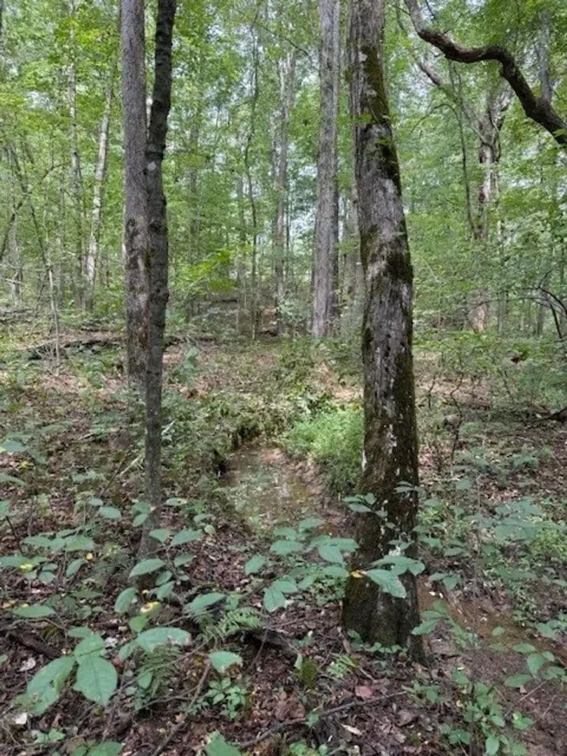 5.27+/-acres unrestricted wooded property