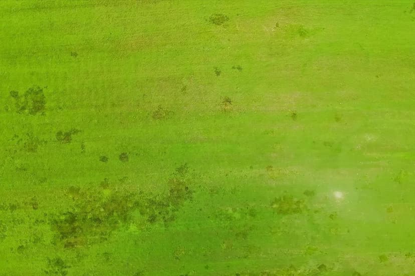 00 Tbd Mt Beulah Rd Road