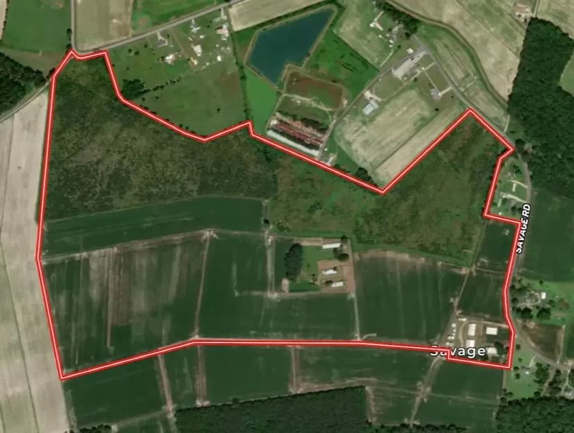 UNDER CONTRACT!! 151 Acres of Farmland and Timber Land For Sale in Gates County NC!