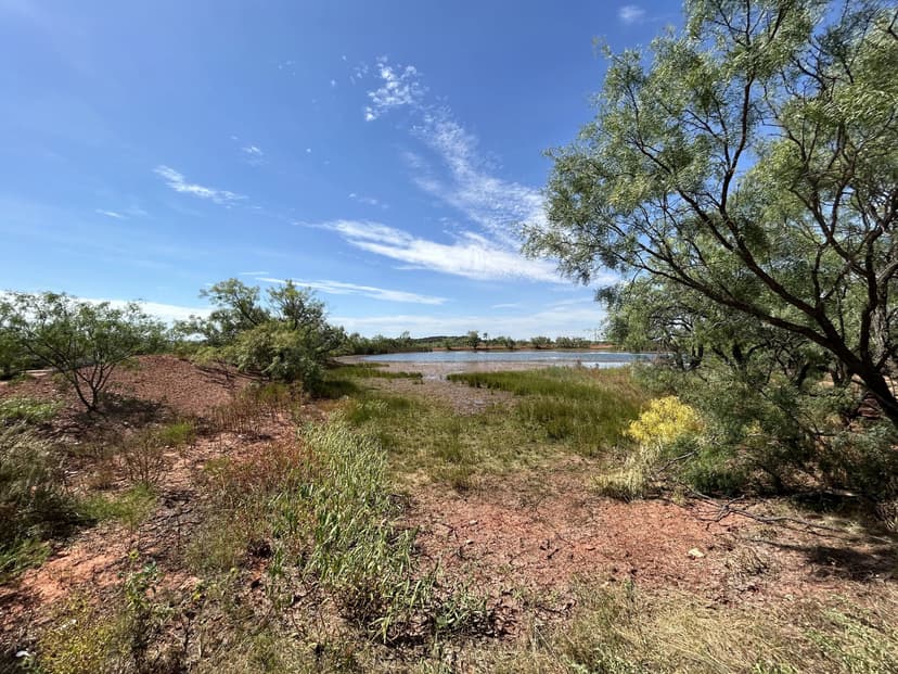 New Listing!!!10.20+- AC TBD FM 1086, Taylor County (72.06 AC Split)