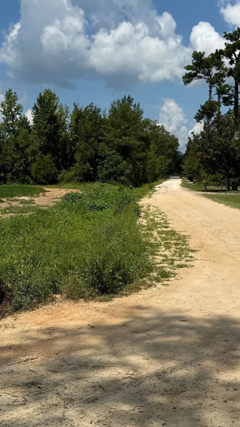 83 acres Pandora Rd Tract