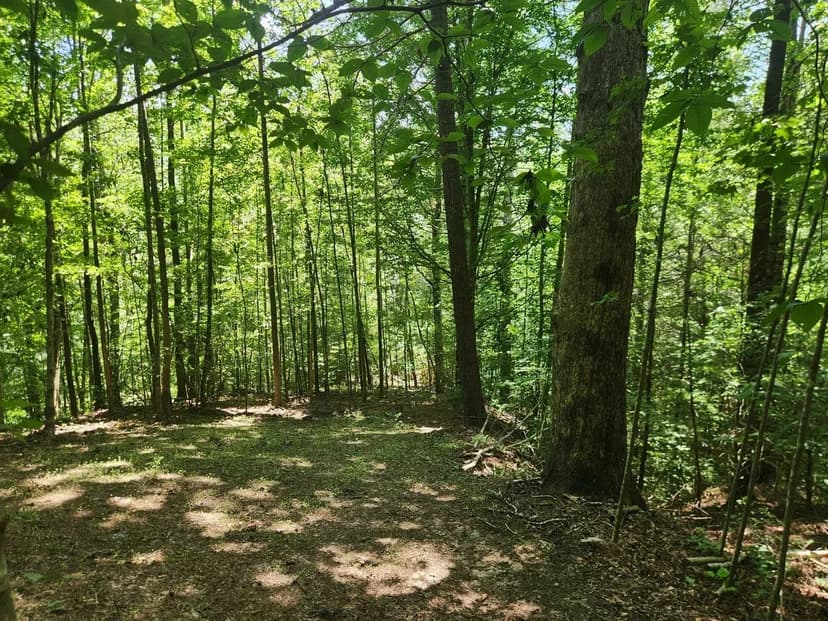 +/- 6.05ac - 2003 Zacks Fork Rd Lenoir NC - Caldwell Co