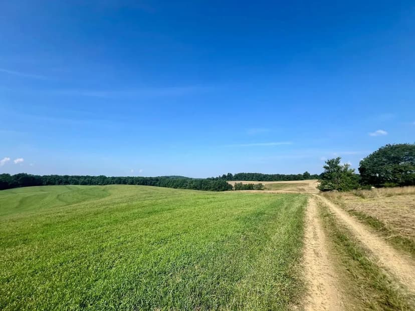 90 +/- Premium Acreage in Westmoreland County, PA