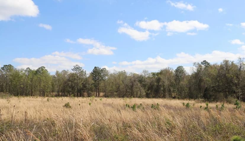 Prime Land Opportunity - 11.5 Acres with Timber & Wildlife! {A-740}