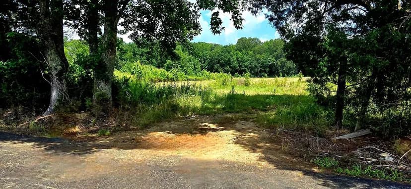 300ac CYPRESS CREEK, AG AND CATTLE FARM. TIMBERLAND