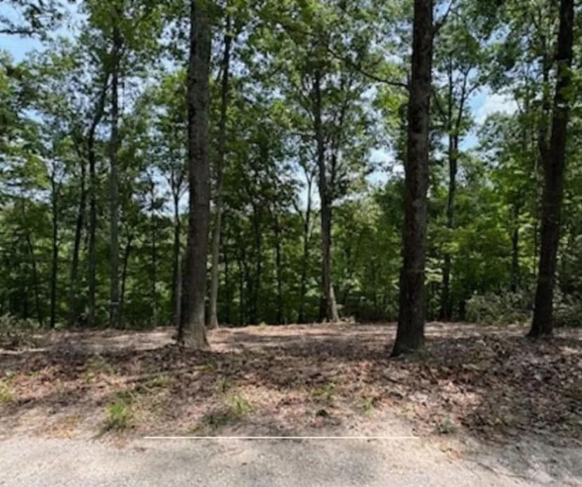 Beaver Lake Frontage - Eureka Springs, AR