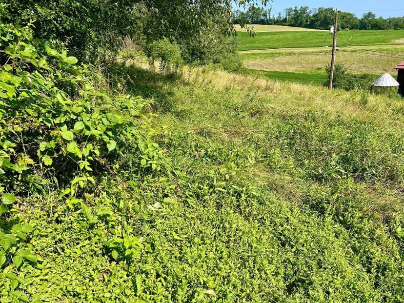 Rock Springs Rd., Westmoreland County - 22 +/- Acres