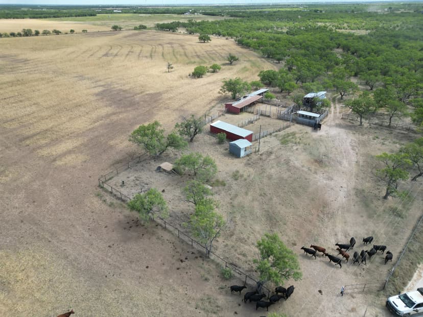 Under Contract!! 167.712 Ac, TBD CR 100, Callahan County