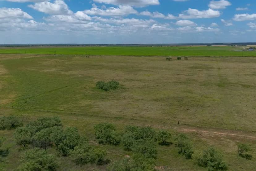 10.04 acres in Taylor County (T4 CR 204)