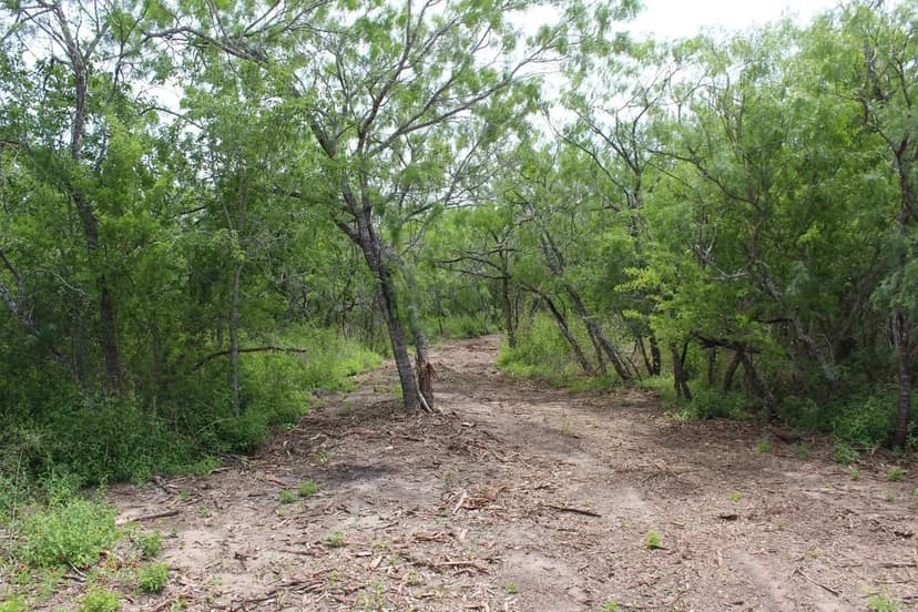 Goliad County land with owner financing! Tract 10