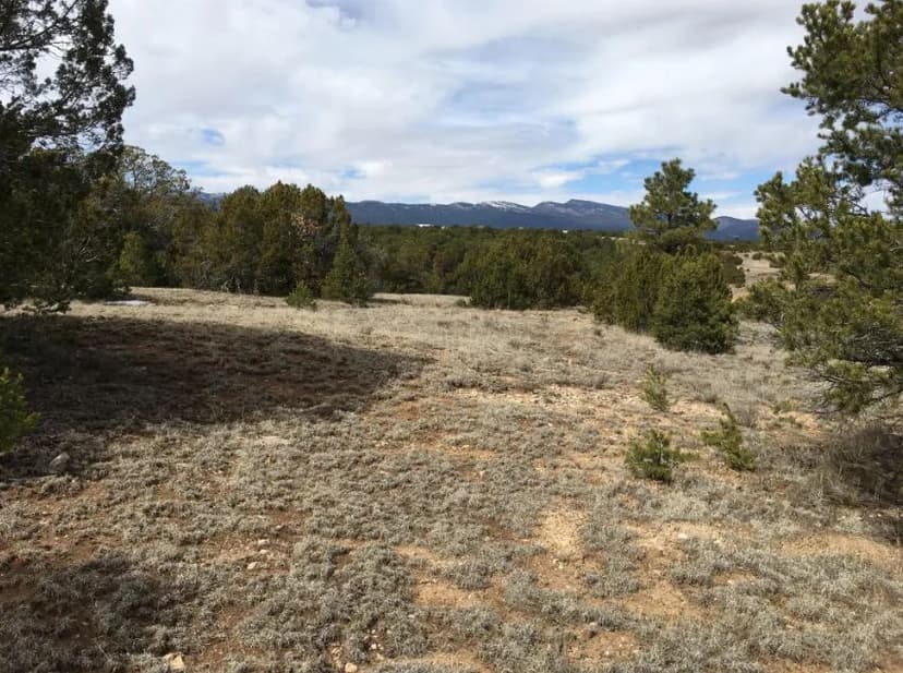 New Property 15 Manzano Loop, Tijeras, New Mexico
