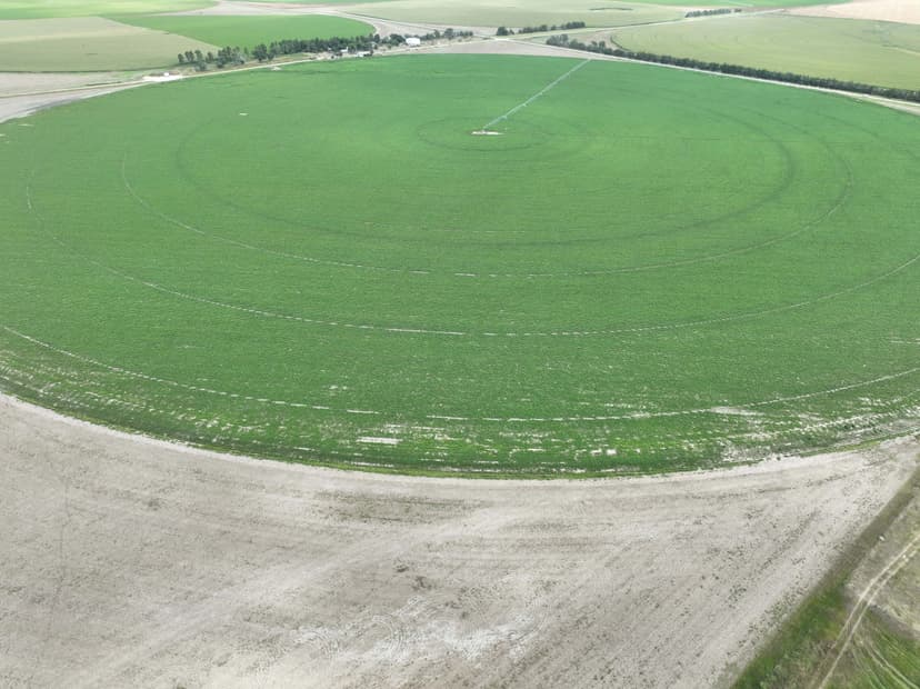 Sheridan County Pivots