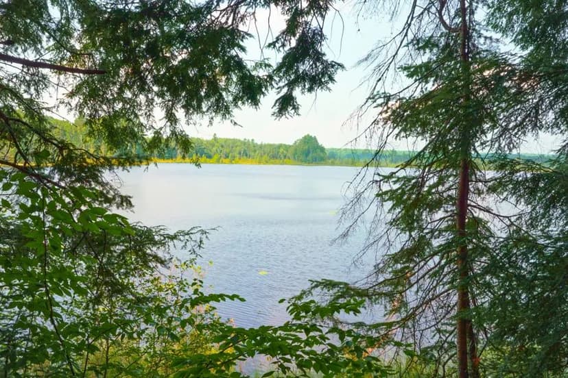 645 Acres of Rare Lakefront Hunting Land in Hayward, WI - Located in National Forest!