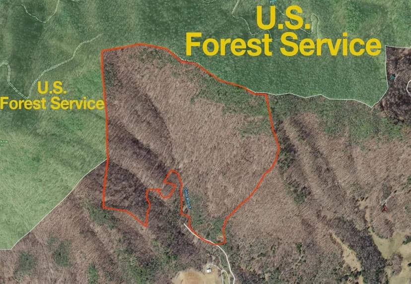 73+/-Ac Bordering Over 3,000Ft Of U.S. Forest Service!
