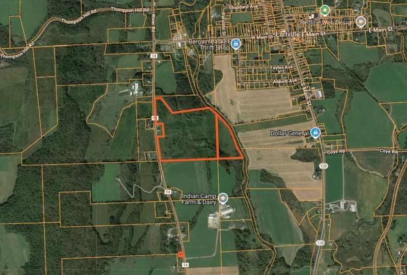 58 acre Land with Black Walnut Trees Earlville NY