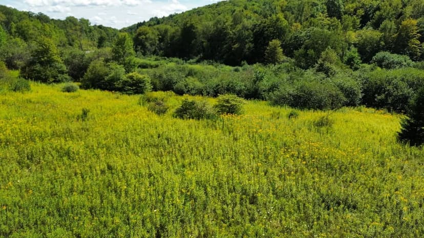 80 acres Hunting Land and Recreational Land with a Stream in Columbus NY County Road 24