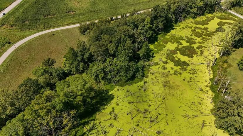 6.6 Recreational Acres Fulton County, Indiana -