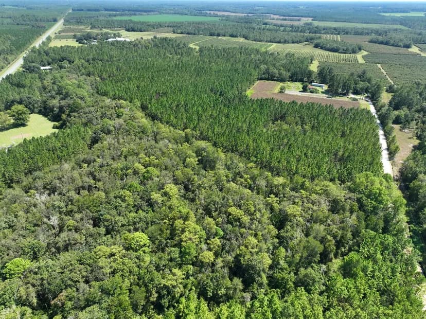 32 +/- AC LAND FOR SALE PIERCE COUNTY, GA