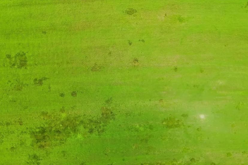 Lot 5 Mt Beulah Road