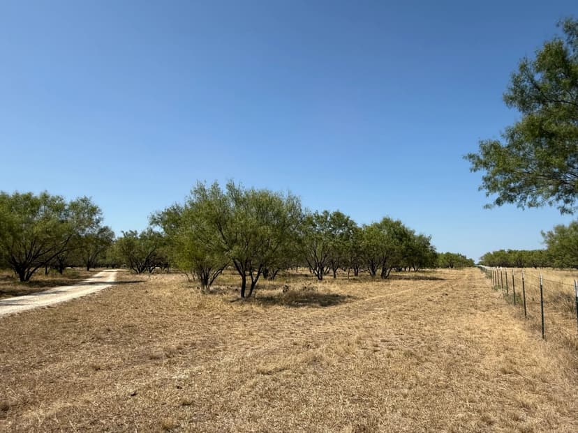 Under Contract!! 202.21 Ac & Cabin, Callahan County