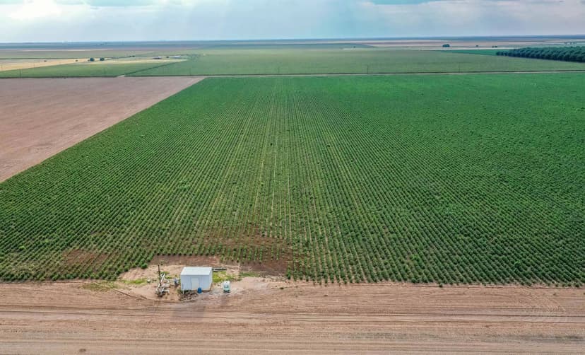 101.7± acre Drip Irrigated Moore Farm