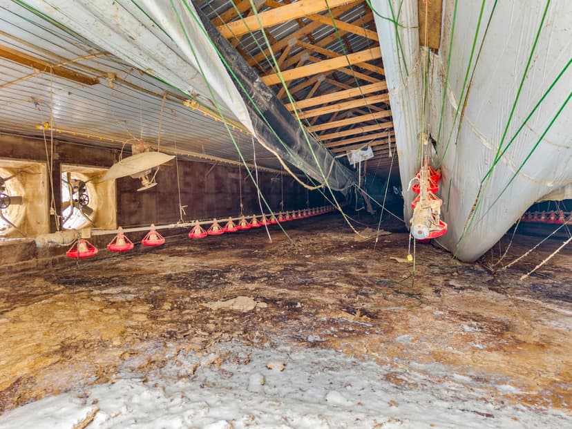 Online-Only Auction — Midway, Tennessee