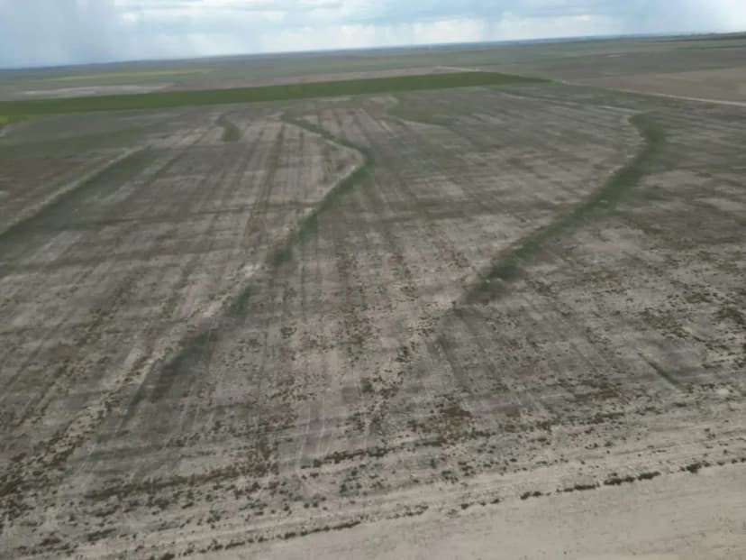 Dry Land Farm (West)