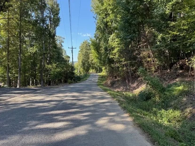 0.46+/-acre wooded lot on Mullins Cove Road in Whitwell TN