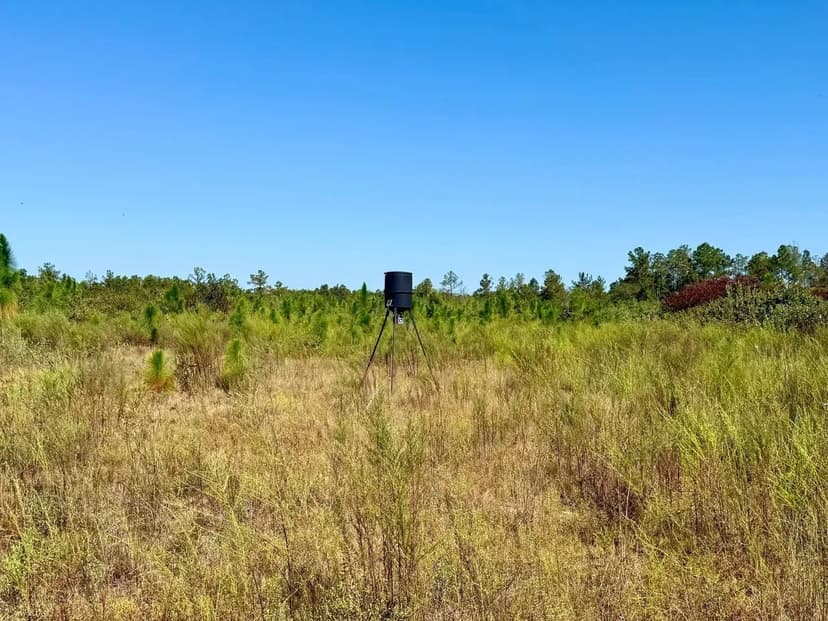 Longleaf Farm Investment & Hunting