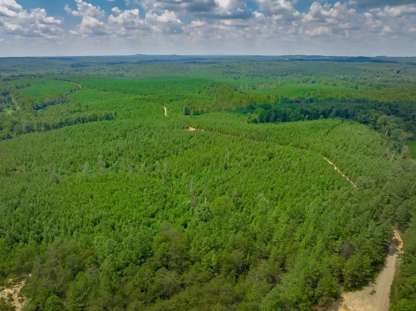 The Kings Creek Tract