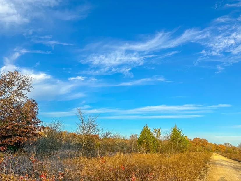 699 Acres | CR 4640 | Maya 1002