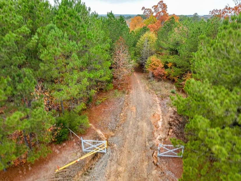 17 Acres | County Road 1651 | T-2