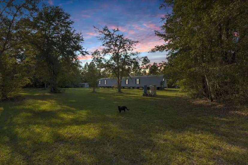 125+/- Ac Land For Sale in Camden County, GA