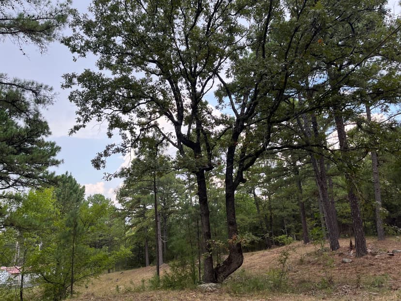 40 Acres with Home, Cabin, Pond & Timber – Daisy, OK