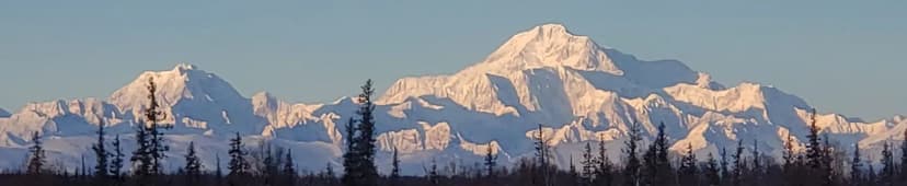 Denali Views and Moose Dreams