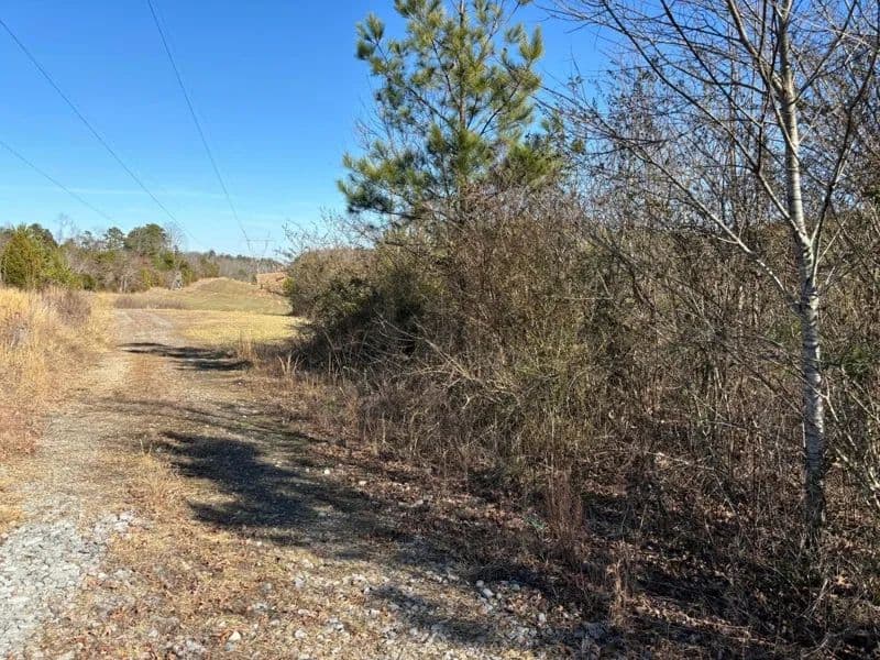 211 Acres of Land for Sale in Spring City, TN