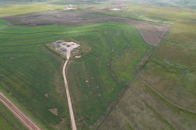 Hemphill/Roger Mills Dryland & Producing Mineral Online Auction